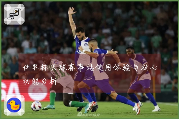 世界杯买球赛事站使用体验与核心功能分析