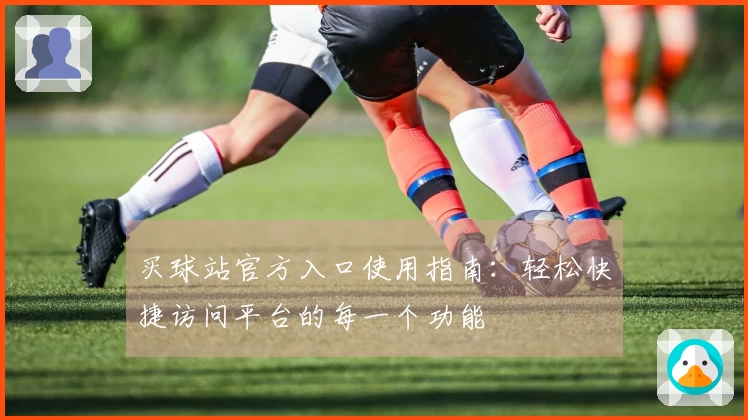 买球站官方入口使用指南：轻松快捷访问平台的每一个功能