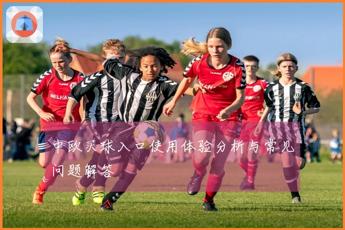 中欧买球入口使用体验分析与常见问题解答