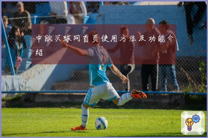 中欧买球网首页使用方法及功能介绍