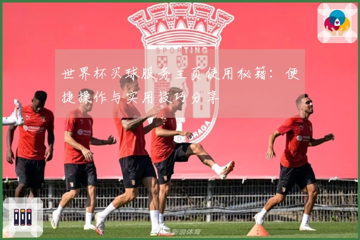 世界杯买球服务主页使用秘籍：便捷操作与实用技巧分享