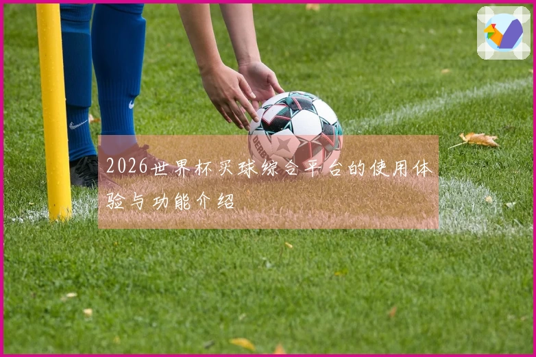 2026世界杯买球综合平台的使用体验与功能介绍