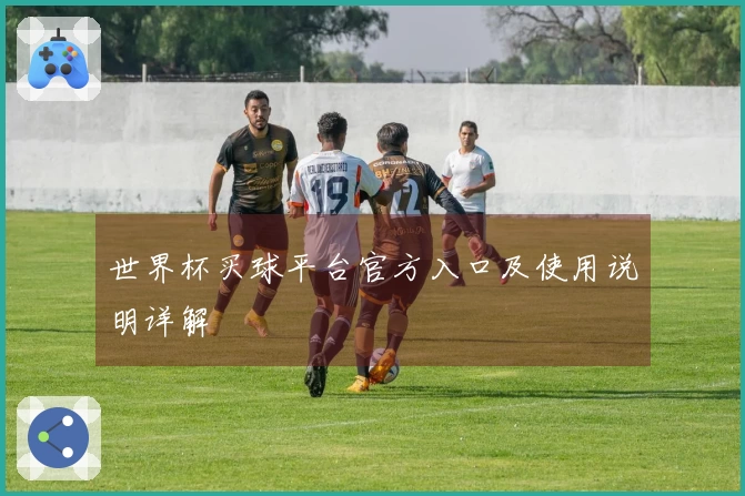 世界杯买球平台官方入口及使用说明详解
