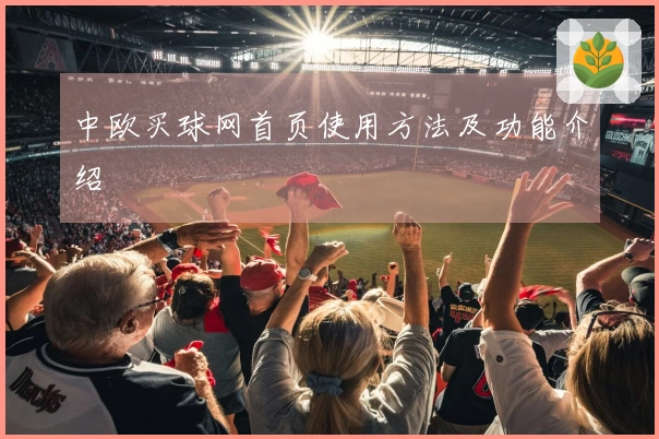 中欧买球网首页使用方法及功能介绍