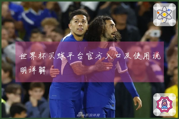 世界杯买球平台官方入口及使用说明详解