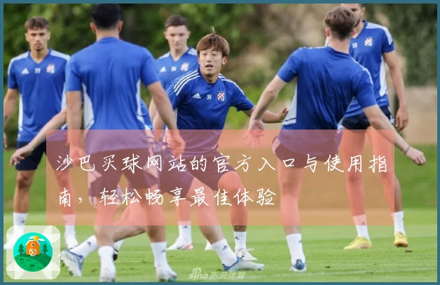 沙巴买球网站的官方入口与使用指南，轻松畅享最佳体验