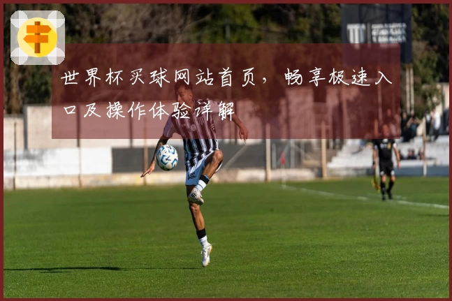 世界杯买球网站首页，畅享极速入口及操作体验详解