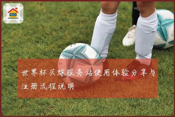 世界杯买球服务站使用体验分享与注册流程说明